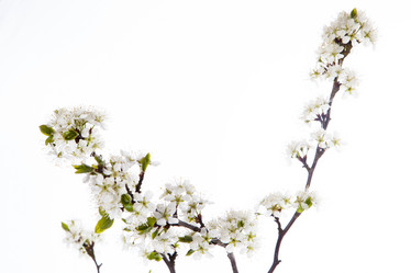 Similar image 10868575