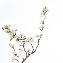 Similar image 10868576