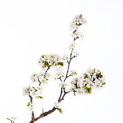 Similar image 10868688