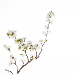 Similar image 10868689