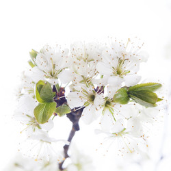 Similar image 10868690