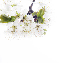 Similar image 10868691