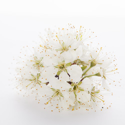 Similar image 10868693