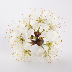 Similar image 10868694