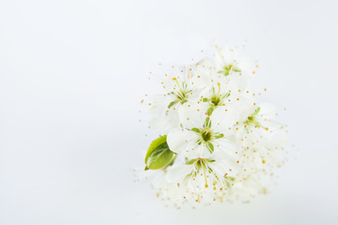 Similar image 10868695