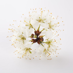 Similar image 10868696