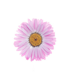 Similar image 10868697