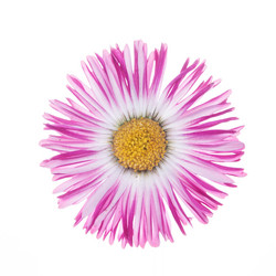 Similar image 10868664