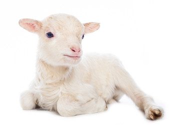 Similar image 10868668