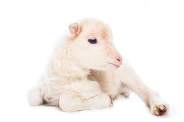 Similar image 10868669