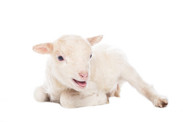 Similar image 10868670