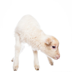 Similar image 10868673