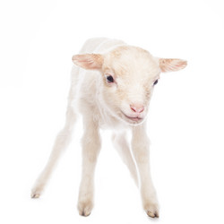 Similar image 10868674