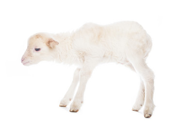 Similar image 10868676