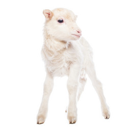 Similar image 10868711