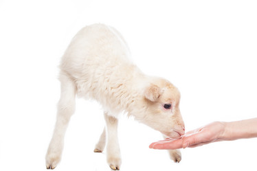 Similar image 10868713