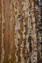 Similar image 10878467