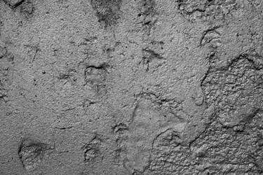 Similar image 10878471