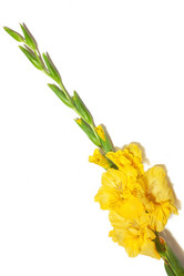 Similar image 10878474