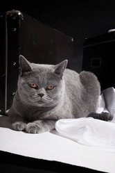 Similar image 10878477