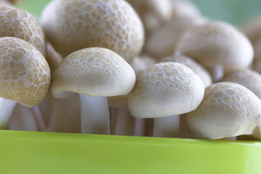 Similar image 10864937