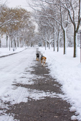 Similar image 10865909