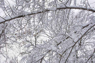 Similar image 10865911