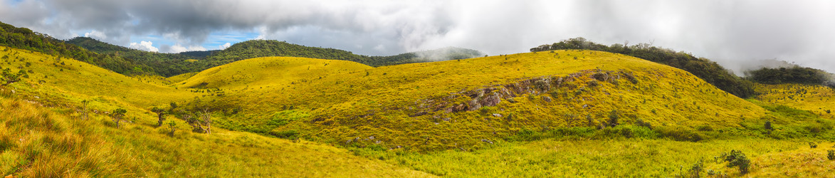 Similar image 10864162