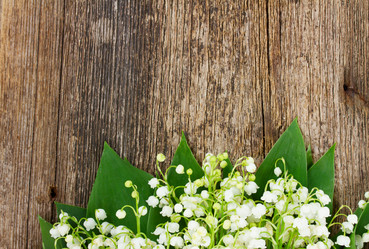 Similar image 10865581