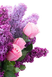 Similar image 10865587