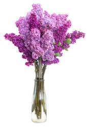 Similar image 10865589