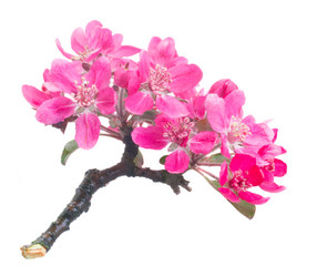 Similar image 10865591