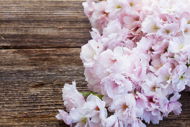 Similar image 10865556