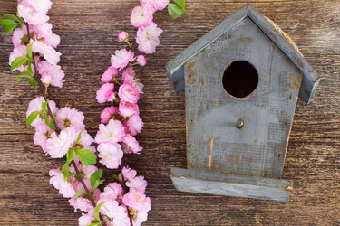 Similar image 10865593