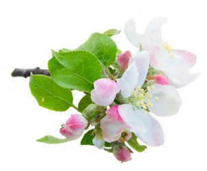 Similar image 10865595