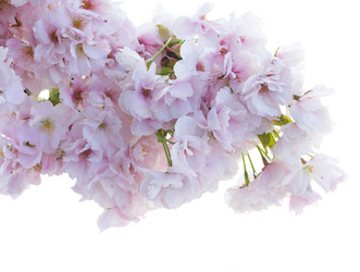 Similar image 10865599