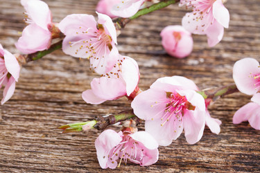 Similar image 10865601