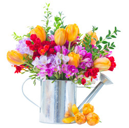 Similar image 10865560