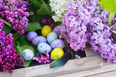 Similar image 10865562