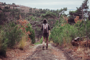 Similar image 10878493