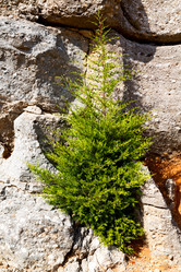 Similar image 10882925