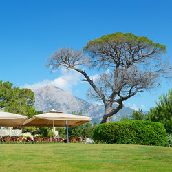 Similar image 10899388