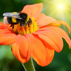 Similar image 10899392