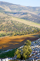 Similar image 10883185