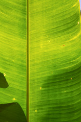 Similar image 10883105