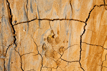 Similar image 10883107