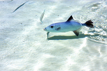 Similar image 10883138