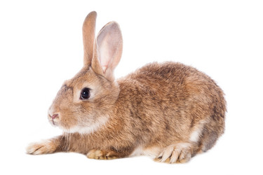 Similar image 10868870