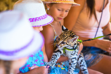 Similar image 10877303