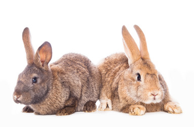 Similar image 10869567